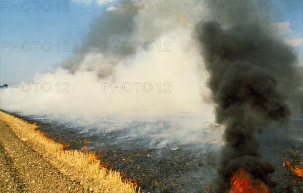 England, Hampshire, Environment, Burning stubble after harvest, now illegal practice.