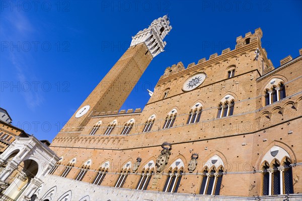 ITALY, Tuscany, Siena, The Torre del Mangia campanile belltower and facade of the Palazzo Publico town hall in the Piazza del Campo under a blue sky. The black and white crest or symbol of Siena decorates the facade of the building.