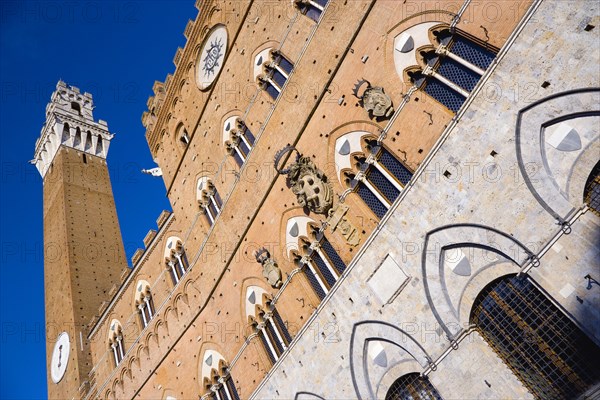 ITALY, Tuscan, Siena, The Torre del Mangia campanile belltower and facade of the Palazzo Publico town hall in the Piazza del Campo under a blue sky. The black and white crest or symbol of Siena decorates the facade of the building.