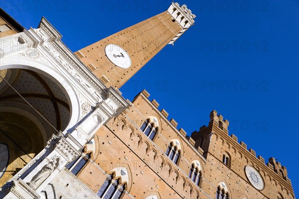 ITALY, Tuscany, Siena, Religious carvings on the portico entrance below the Torre del mangia campanile belltower and facade of the Palazzo Publico town hall in the Piazza del Campo under a blue sky. The black and white crest or symbol of Siena decorates the facade of the building.