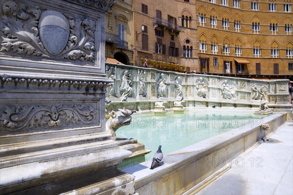 ITALY, Tuscany, Siena, The 19th Century replica of the 15th Century white marble Fonte Gaia fountain by the artist Jacopo della Quercia in the Piazza del Campo.