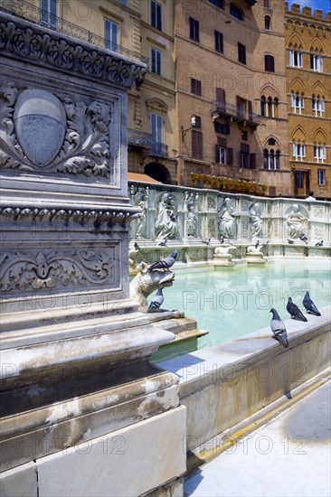 ITALY, Tuscany, Siena, The 19th Century replica of the 15th Century white marble Fonte Gaia fountain by the artist Jacopo della Quercia in the Piazza del Campo.