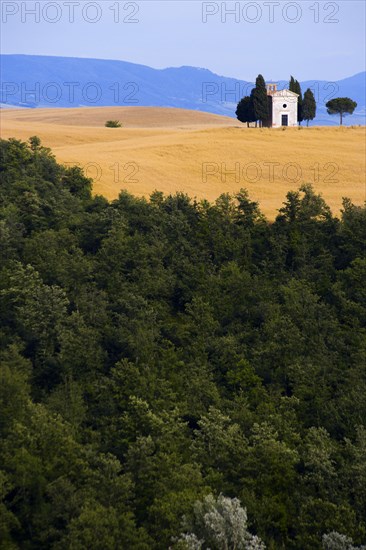ITALY, Tuscany, Val D'Orcia, Deserted church on hilltop set in field of ripe wheat in valley near Pienza.