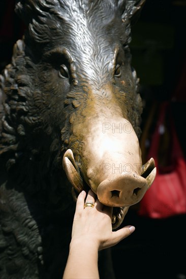 ITALY, Tuscany, Florence, The 17th century bronze fountain called Il Porcellino in the Mercato Nuovo also known as the Straw Market where the snout of the wild boar shines where people rub it under the superstition that if you do you will return to the city.