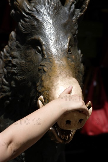 ITALY, Tuscany, Florence, The 17th century bronze fountain called Il Porcellino in the Mercato Nuovo also known as the Straw Market where the snout of the wild boar shines where people rub it under the superstition that if you do you will return to the city.