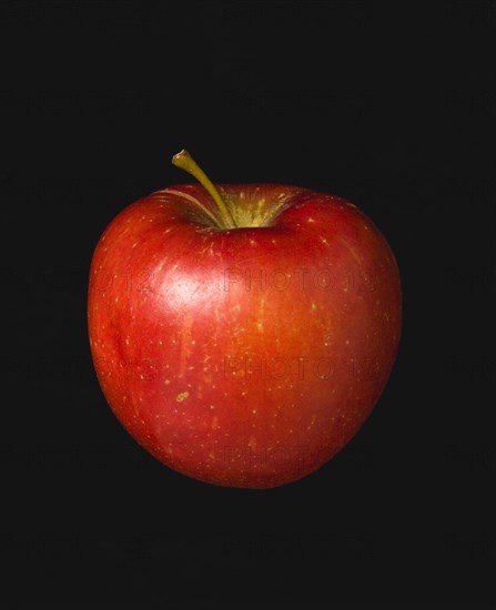 Food, Fruit, Apples, One single ripe red apple against a black background.