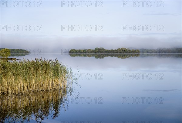 IRELAND, County Cavan, Lough MacNean, Islands in the lough on an autumn morning.