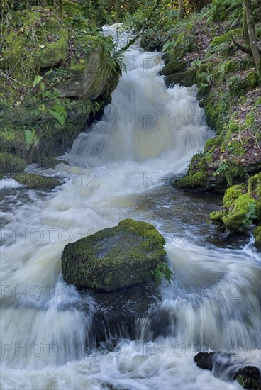 IRELAND, County Monaghan, Rossmore Country Park, Waterfall in full flow after the November rain.