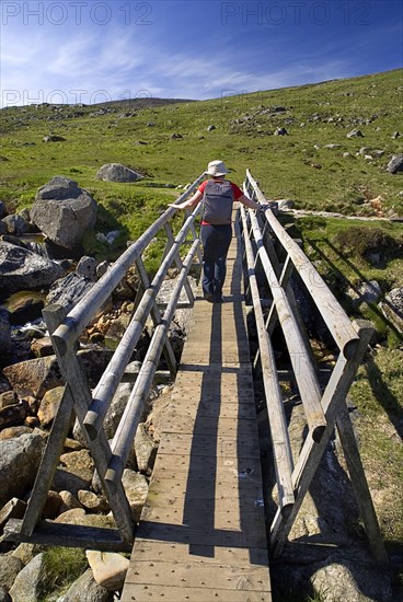 IRELAND, County Wicklow, A hiker crosses a wooden bridge on the Spink Trail.