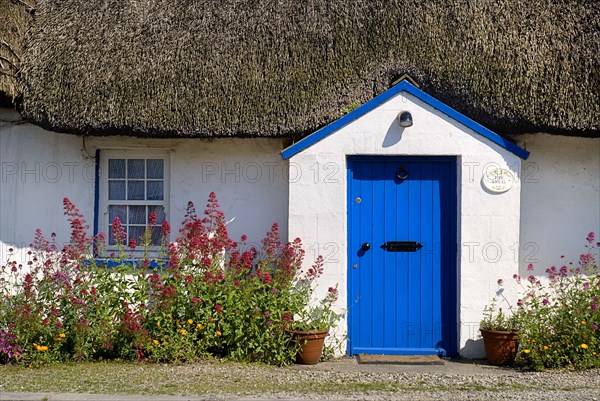 IRELAND, County Weford, Kilmore Quay, Thatched cottage in fishing village renowned for such dwellings.