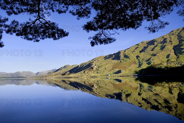 IRELAND, County Galway, Connemara, Kylemore Lough with calm waters and overhanging branches.