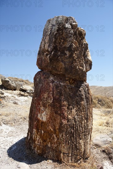 GREECE, North East Aegean, Lesvos Island, Mitilini, Fossilized tree at the ancient fossilized forest, shoot on a bright day under a blue sky.