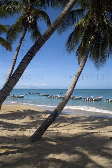 VENEZUELA, Margarita Island, Playa la Galera, View of exotic beach with palm trees and their shades on the sand, just in front of fishing boats floating at the tropical crystal clear seawaters, shoot on a bright day with blue sky and white clouds.