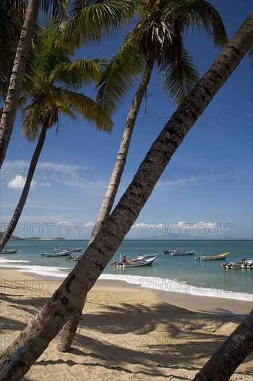 VENEZUELA, Margarita Island, Playa la Galera, View of exotic beach with palm trees and their shades on the sand, just in front of fishing boats floating at the tropical crystal clear seawaters, shot on a bright day with blue sky and white clouds.