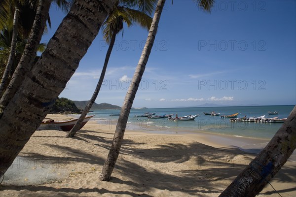 VENEZUELA, Margarita Island, Playa la Galera, View of exotic beach with palm trees and their shades on the sand, just in front of fishing boats floating at the tropical crystal clear seawaters, shot on a bright day with blue sky and white clouds.