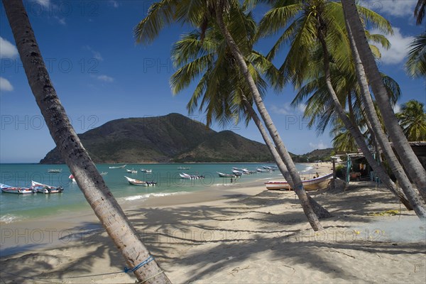 VENEZUELA, Margarita Island, Playa la Galera, View of exotic beach with palm trees and their shades on the sand, just in front of fishing boats floating at the tropical crystal clear seawaters, shot on a bright day with blue sky and white clouds.