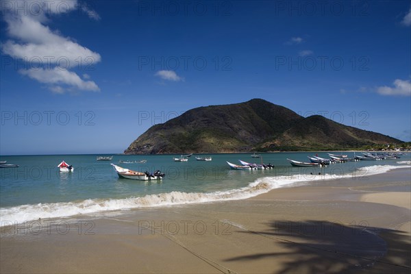 VENEZUELA, Margarita Island, Playa la Galera, View of exotic beach with palm trees and their shades on the sand, just in front of fishing boats floating at the tropical crystal clear seawaters, shot on a bright day with blue sky and white clouds.