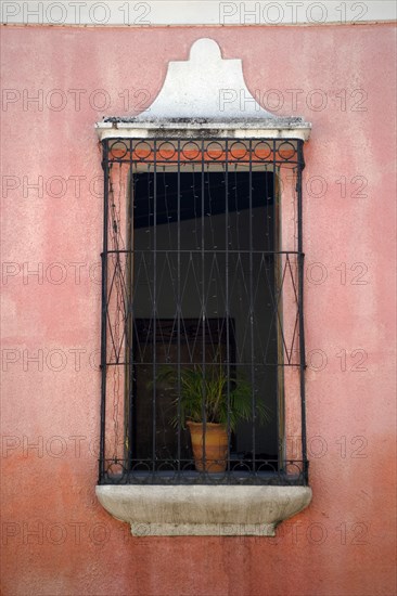 VENEZUELA, Bolivar State, Ciudad Bolivar, open window with a plant in a pot behind the black iron bars surrounded by an old pink wall.