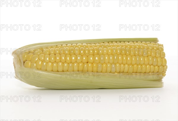 FOOD, Vegetables, Sweetcorn, Corn on the cob.