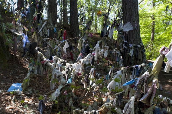 Scotland, Black Isle, Munlochy, Clootie Well, Clothing hanging from trees as part of an ancient pre Christian tradition. Pilgrims a make offerings to the  spring or well in the hope to have an illness cured.