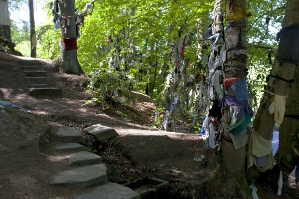 Scotland, Black Isle, Munlochy, Clootie Well, Clothing hanging from trees as part of an ancient pre Christian tradition. Pilgrims a make offerings to the  spring or well in the hope to have an illness cured.