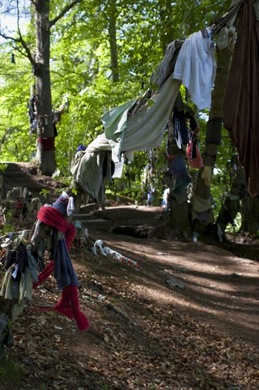 Scotland, Black Isle, Munlochy, Clootie Well, Clothing hanging from trees as part of an ancient pre Christian tradition. Pilgrims a make offerings to the  spring or well in the hope to have an illness cured.