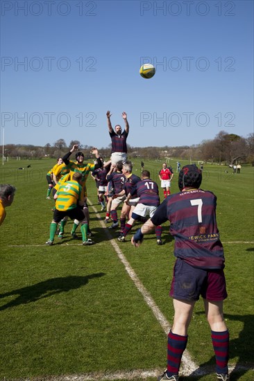 England, West Sussex, Shoreham-by-Sea, Rugby Teams playing on Victoria Park playing fields. Ball thrown in from a Line Out.