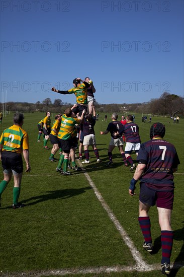 England, West Sussex, Shoreham-by-Sea, Rugby Teams playing on Victoria Park playing fields. Ball thrown in during line out.