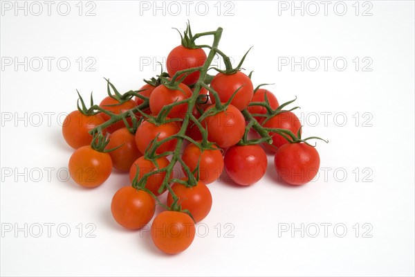 Food, Fruit, Tomato, Ripe red cherry tomatoes on the vine against a white background.