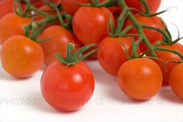 Food, Fruit, Tomato, Ripe red cherry tomatoes on the vine against a white background.