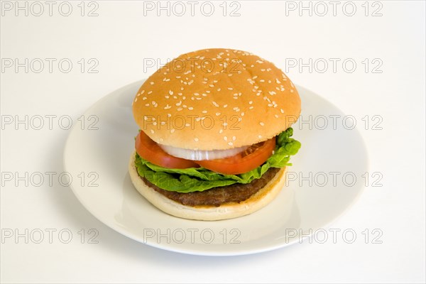 Food, Cooked, Hamburger, Single quarter pound burger with onoin tomato and lettuce in a bun on a plate on a white background.