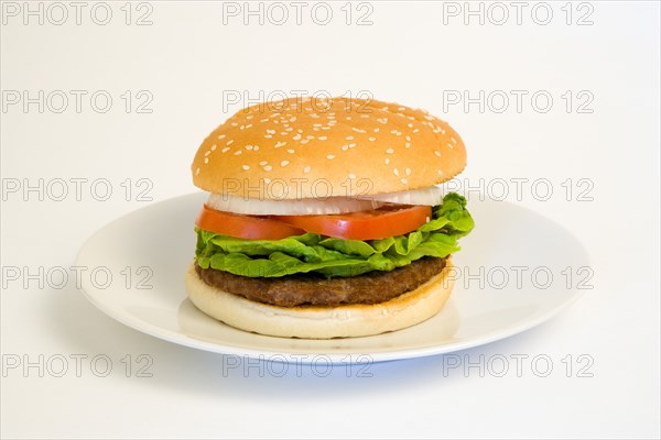 Food, Cooked, Hamburger, Single quarter pound burger with onoin tomato and lettuce in a bun on a plate on a white background.