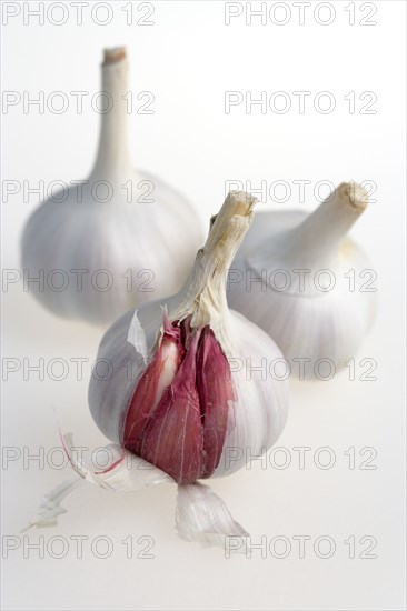 Food, Herbs, Garlic, Three bulbs of garlic Allium sativum with cloves revealed against a white background.
