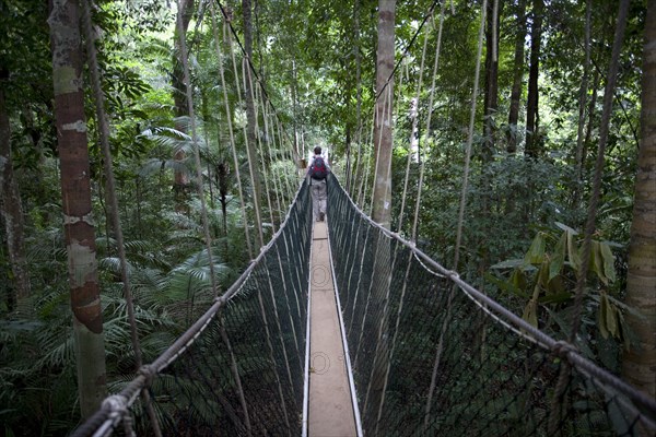 Malaysia, Central Pahang, Taman Negara, People wandering on the canopy walkways of the worlds oldest rainforest.