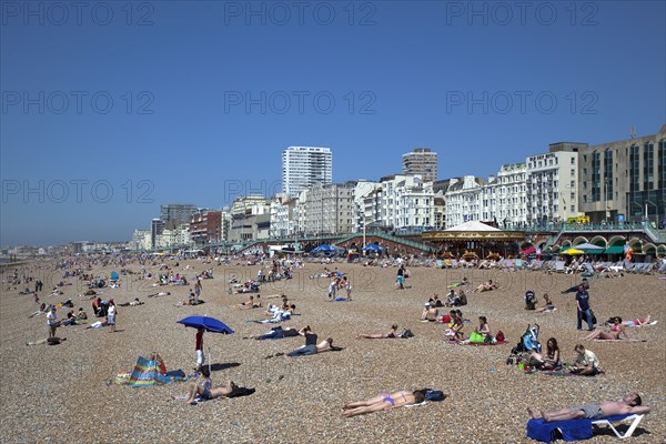 England, East Sussex, Brighton, people sunbathing on the pebble beach.