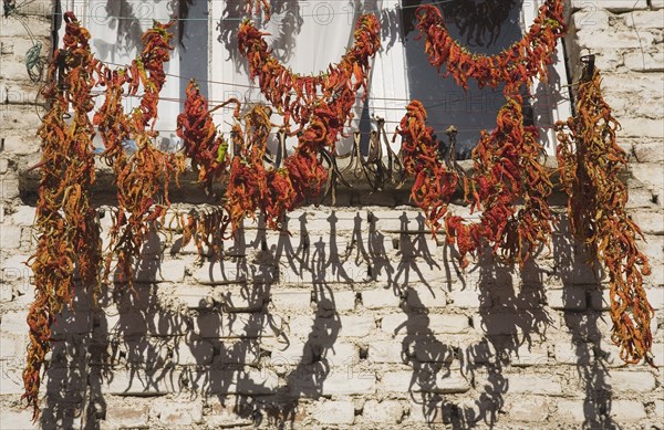 Kusadasi, Aydin Province, Turkey. Strings red and orange chilies hung up to dry in late afternoon summer sunshine from window frame of whitewashed house in the old town casting shadows against the brickwork. Turkey Turkish Eurasia Eurasian Europe Asia Turkiye Aydin Province Kusadasi Chili Chilis Chilli Chillis Chillie Chillies Dried Drying Hanging Hung Pepper Peppers Capsicum Capsicums Red Color Colour Colored Coloured Orange Destination Destinations European Middle East South Eastern Europe Western Asia