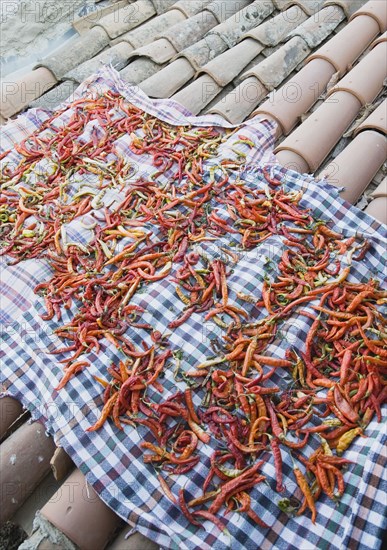 Sirince, Aydin Province, Turkey. Brightly coloured chilies laid out to dry in late afternoon summer sun on checked cloth spread across tiled rooftops of house in the old town. Turkey Turkish Eurasia Eurasian Europe Asia Turkiye Aydin Province Selcuk Chili Chilis Chilli Chillis Chillie Chillies Dried Drying Pepper Peppers Capsicum Capsicums Red Color Colour Colored Coloured Orange Destination Destinations European Middle East South Eastern Europe Western Asia