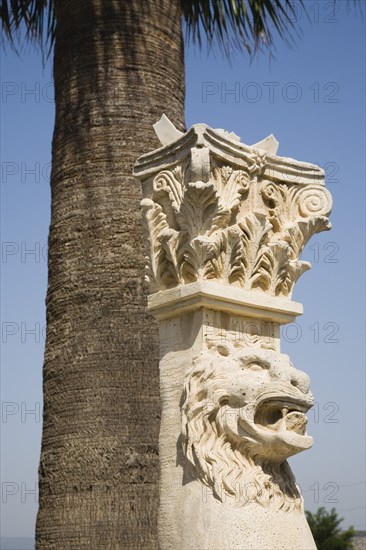 Selcuk, Izmir Province, Turkey. Corinthian column with protective lion mask beneath palm tree at ancient site of the Temple of Artemis. Turkey Turkish Eurasia Eurasian Europe Asia Turkiye Izmir Province Selcuk Temple Armetis Corinthian Colum Lion Mask Architecture Ancient Destination Destinations European History Historic Middle East South Eastern Europe Western Asia