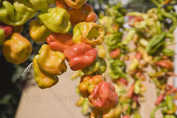 Selcuk, Izmir Province, Turkey. Ephesus. Strings of brightly coloured Capsicum annuum cultivars of chillies hanging up to dry in late afternoon summer sun. Asian Color Colored Destination Destinations European Middle East South Eastern Europe Turkish Turkiye Western Asia