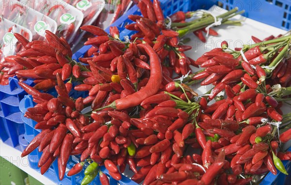 Vienna, Austria. Bunches of red chillies for sale on market stall. Austria Austrian Republic Vienna Viennese Wien Europe European City Capital Naschmarkt Market Display Fresh Food Fruit Stall Shop Store Chili Chilis Chilli Chillis Chillie Chillies Paprika Pepper Peppers Capsicum Capsicums Color Destination Destinations Osterreich Viena Western Europe