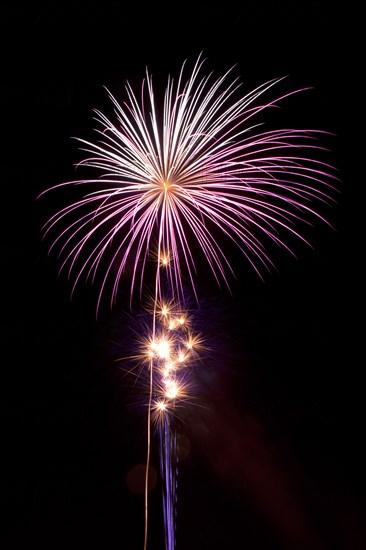 Colourful display of Pyrotechnics Shoreham Beach West Sussex England. England English UK United Kingdom GB Great Britain British Europe European Festival Festivals Guy Fawkes November Firework Display Fireworks Pyrotechnic Pyrotechnics Pyrotechnical Color Colour Coloured Colored Colourful Colorful Pattern Sky Black Pink Purple White