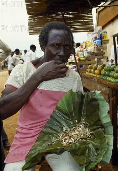 Jinja, Uganda. Man eating live white flying ants a common snack. African Cultural Cultures Eastern Africa Male Men Guy One individual Solo Lone Solitary Order Fellowship Guild Club Ugandan