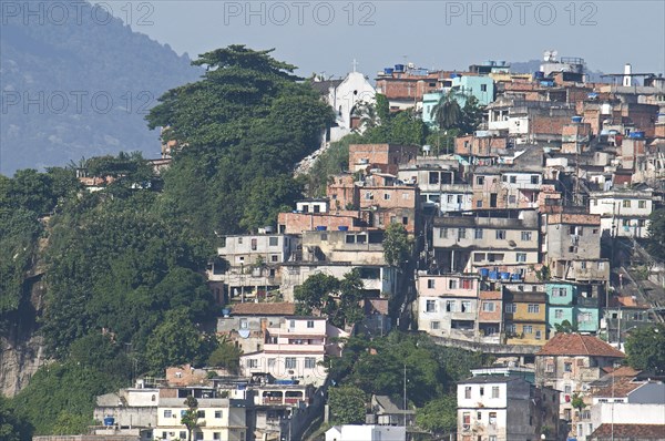 Rio de Janeiro, Brazil. Favela or slum housing above Saude neighbourhood some with traditional tile roofs very steep hill roads greenery and Church. Brazil Brasil Brazilian Brasilian South America Latin Latino American City Urban Architecture Houses Housing Homes Favela Slum Slums Saude Neighborhood Neighbourhood Favelas Classic Classical Destination Destinations Historical Latin America Older Shanty South America Southern