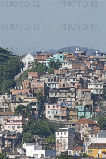 Rio de Janeiro, Brazil. Favela or slum housing above Saude neighbourhood some with traditional tile roofs very steep hill roads greenery and Church. Brazil Brasil Brazilian Brasilian South America Latin Latino American City Urban Architecture Houses Housing Homes Neighbourhood Neighborhood Saude Slums Slum Slum Favela Classic Classical Destination Destinations Historical Latin America Older Shanty South America Southern