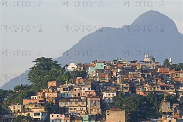 Rio de Janeiro, Brazil. Favela or slum above Saude neighbourhood brick houses trees Church and mountain in the background. Brazil Brasil Brazilian Brasilian South America Latin Latino American City Urban Architecture Houses Housing Homes Suade Neighborhood Neighbourhood Favela Favelas Slum Slums Church Rio de Janeiro Church Destination Destinations Latin America Shanty South America Southern