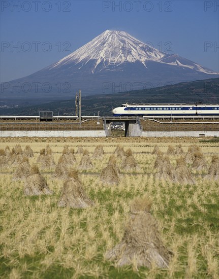 Mount Fuji, Honshu, Japan. Mount Fuji with Shinkansen bullet train passing through rice fields. Japan Japanese Honshu Asia Asian Nihon Nippon Mount Fuji Fujiyama Fuji-san Shinkansen Bullet Trian Transport Rail Railway High Speed Rice Field Volcano Volcanic Cone Mountain Snow Capped Destination Destinations Farming Agraian Agricultural Growing Husbandry Land Producing Raising Scenic