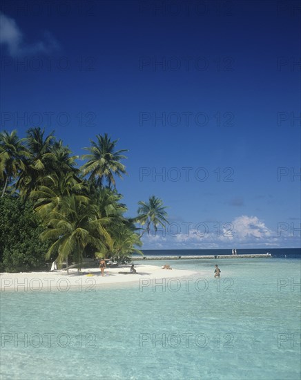 Beach, Maldives. Beach with tourist sunbathing and swimming in the Indian Ocean. Maldives Island Islands Paradise Holiday Sea Water Travel Calm Blue Sky Beach Sand Shore Coast Indian Ocean Asia Asian Palm Trees Clear Vacation Tourists Color Destination Destinations Divehi Rajje Holidaymakers Sand Sandy Beaches Tourism Seaside Shore Tourist Tourists Vacation Sightseeing Sunbather