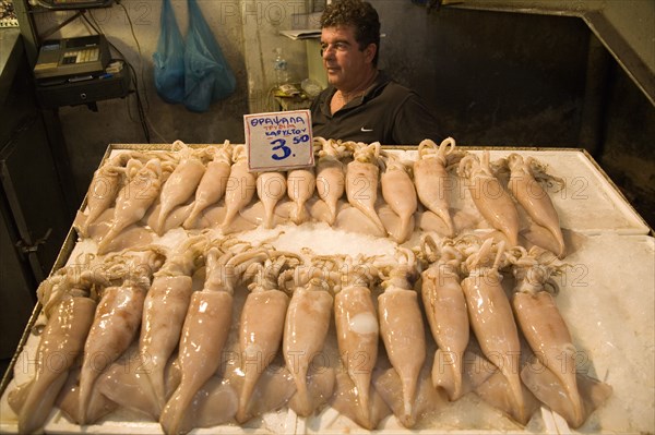 Athens, Attica, Greece. Central Market Fresh squid displayed on stall with male shopkeeper standing behind. Greece Greek Europe European Vacation Holiday Holidays Travel Destination Tourism Ellas Hellenic Attica Athens Central Market Fish Food Seafood Fresh Stall Shop Store Display Price Prices Man Vendor Squid Atenas Athenes Destination Destinations Ellada Male Men Guy One individual Solo Lone Solitary Southern Europe