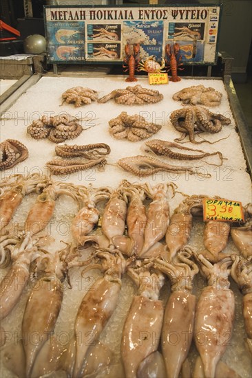 Athens, Attica, Greece. Central market Display of fresh squid and octopus. Greece Greek Europe European Vacation Holiday Holidays Travel Destination Tourism Ellas Hellenic Athens Attica Central Fish Food Seafood Fresh Stall Shop Store Display Price Prices Squid Octopus Atenas Athenes Destination Destinations Ellada Southern Europe