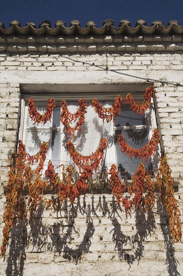 Kusadasi, Aydin Province, Turkey. Strings of red and orange chilies hung up to dry in late afternoon summer sunshine across windows of whitewashed house in the old town and casting shadows against the brickwork. Turkey Turkish Eurasia Eurasian Europe Asia Turkiye Aydin Province Kusadasi Chili Chilis Chilli Chillis Chillie Chillies Dried Drying Hanging Hung Pepper Peppers Capsicum Capsicums Red Color Colour Colored Coloured Orange Destination Destinations European Middle East South Eastern Europe Western Asia